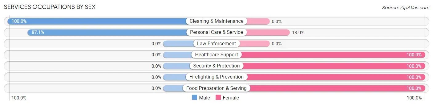Services Occupations by Sex in Paulsboro borough