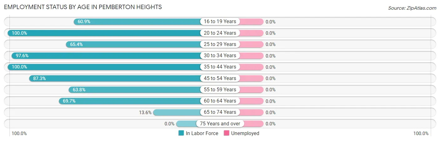 Employment Status by Age in Pemberton Heights
