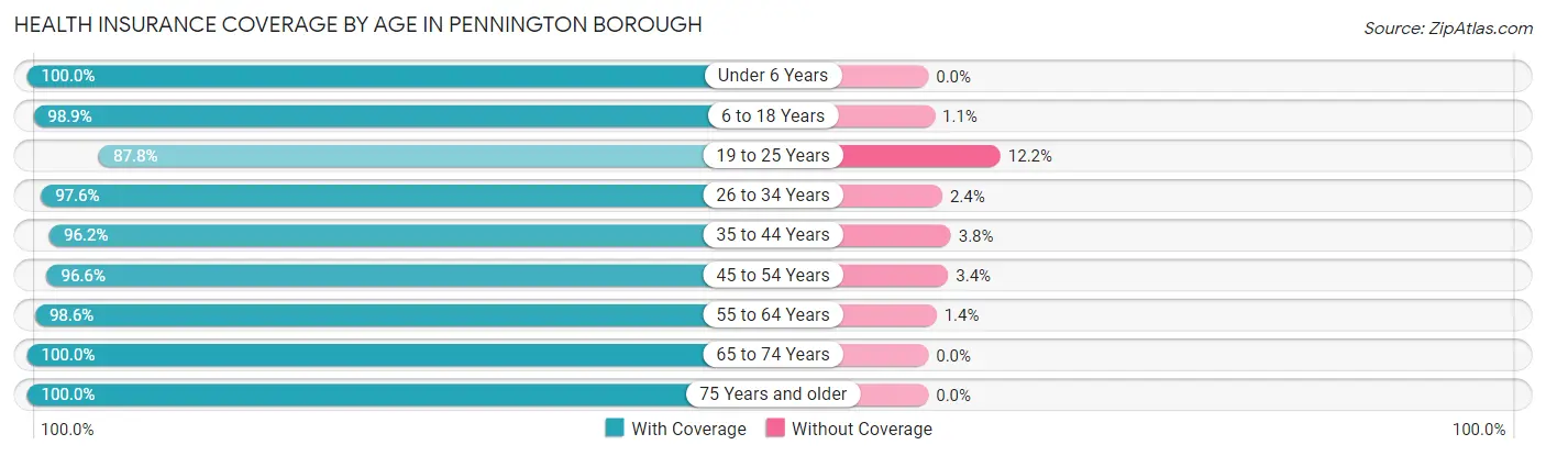 Health Insurance Coverage by Age in Pennington borough