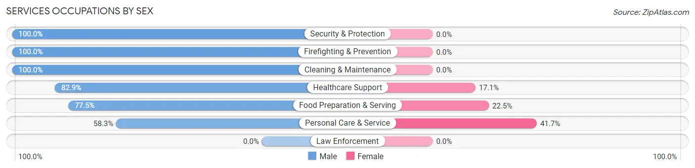 Services Occupations by Sex in Pennington borough