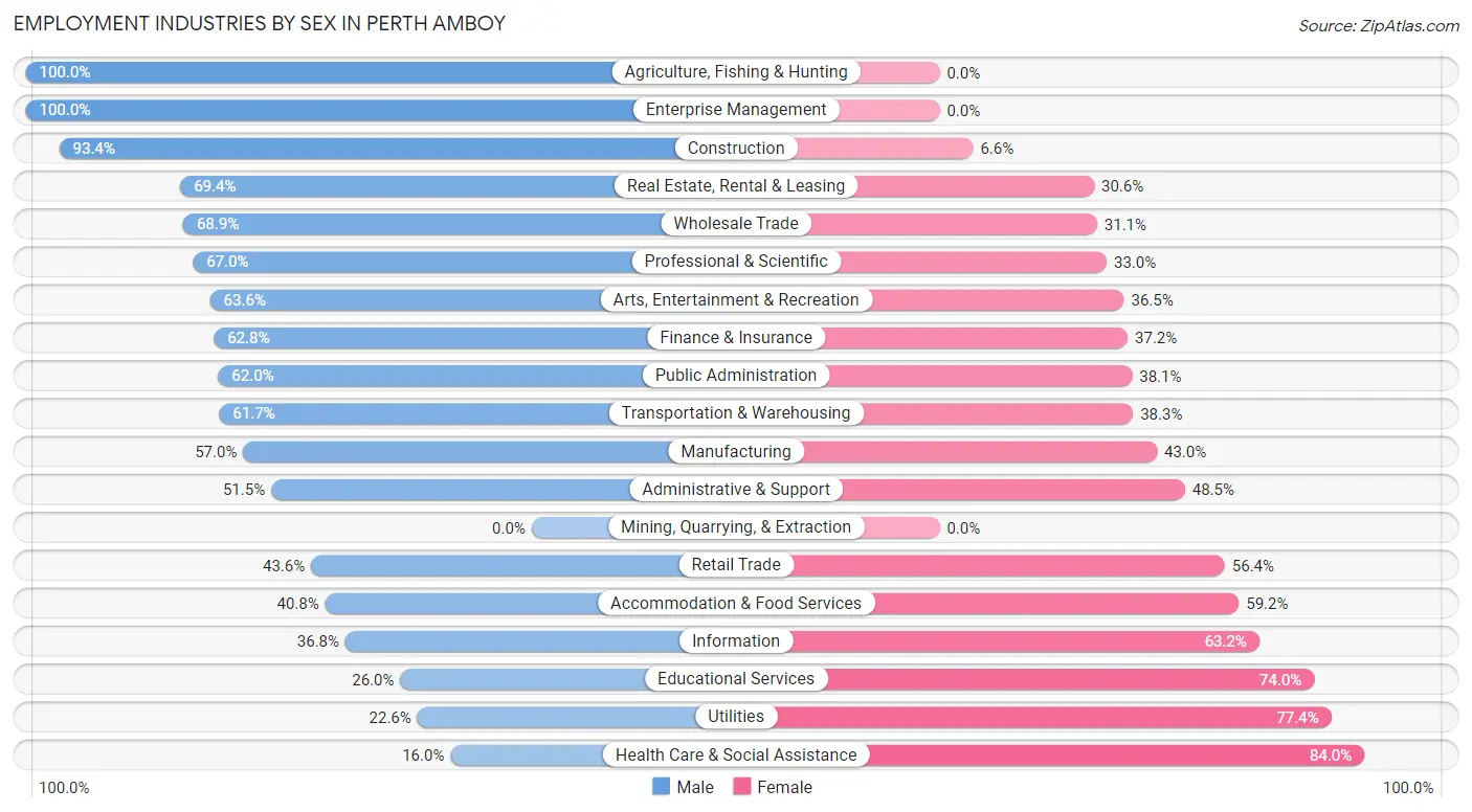 Employment Industries by Sex in Perth Amboy