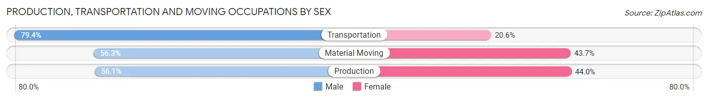 Production, Transportation and Moving Occupations by Sex in Perth Amboy