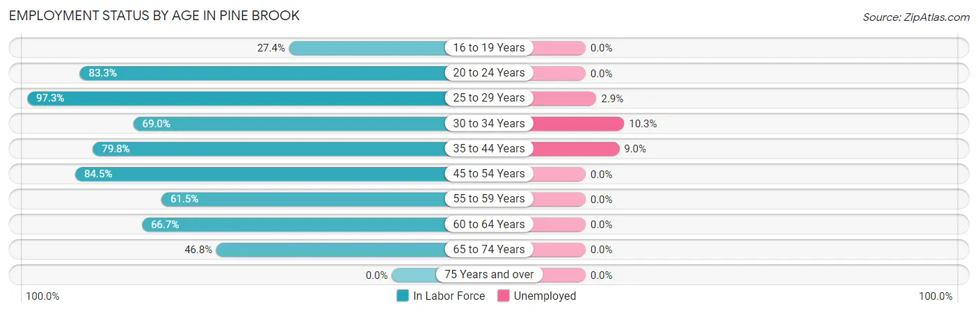 Employment Status by Age in Pine Brook