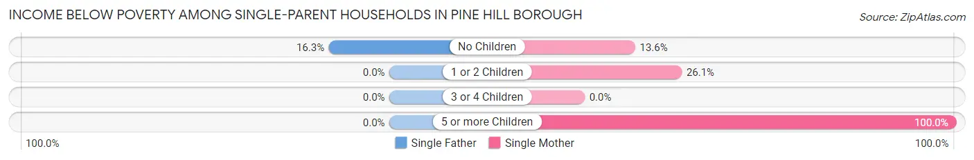 Income Below Poverty Among Single-Parent Households in Pine Hill borough