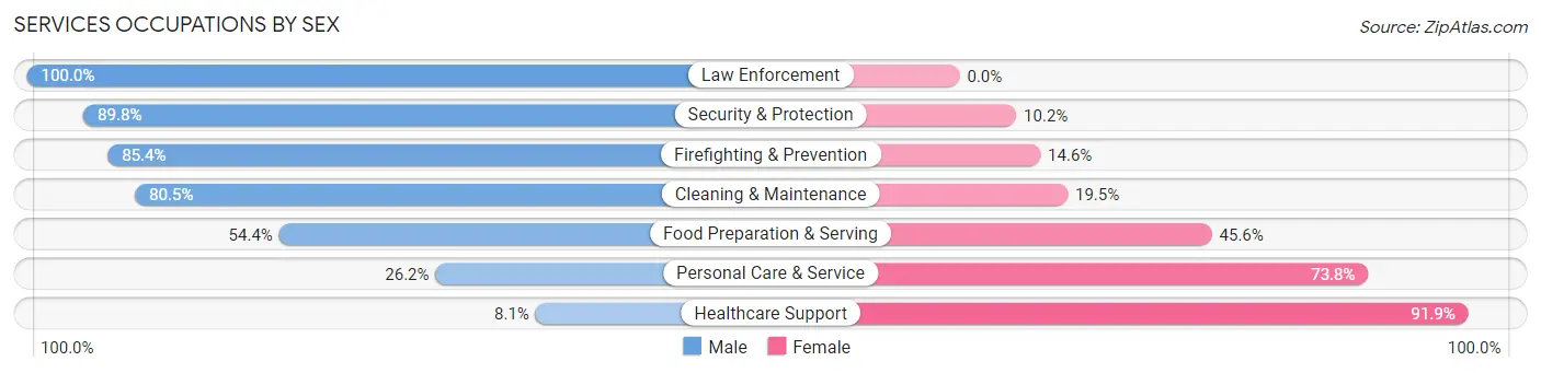 Services Occupations by Sex in Pitman borough