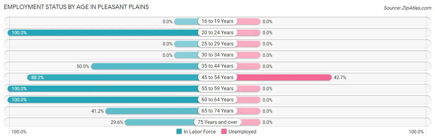 Employment Status by Age in Pleasant Plains