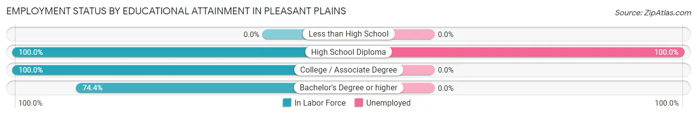 Employment Status by Educational Attainment in Pleasant Plains