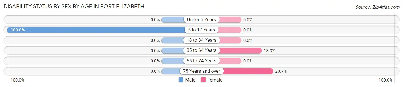 Disability Status by Sex by Age in Port Elizabeth