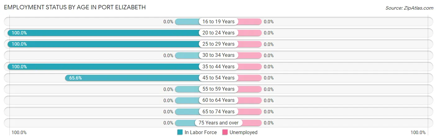 Employment Status by Age in Port Elizabeth