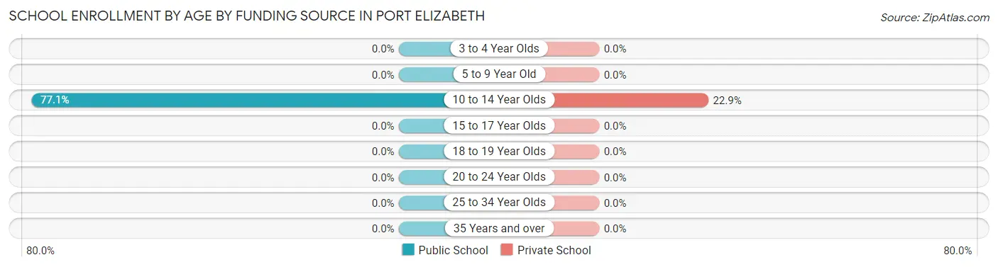 School Enrollment by Age by Funding Source in Port Elizabeth