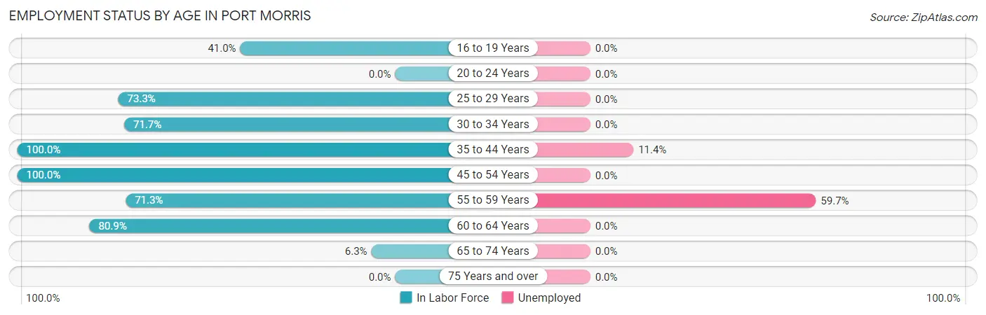 Employment Status by Age in Port Morris