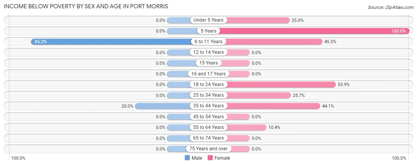Income Below Poverty by Sex and Age in Port Morris