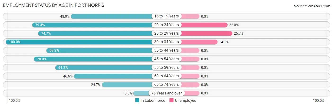 Employment Status by Age in Port Norris