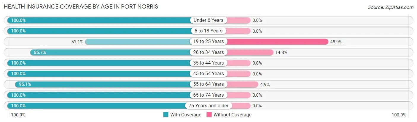 Health Insurance Coverage by Age in Port Norris