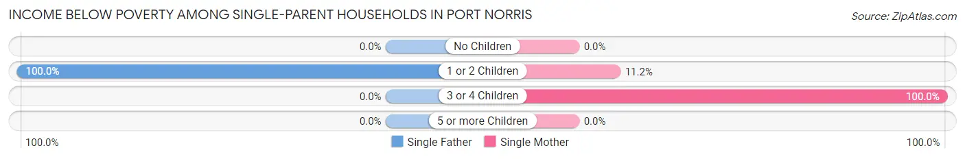 Income Below Poverty Among Single-Parent Households in Port Norris