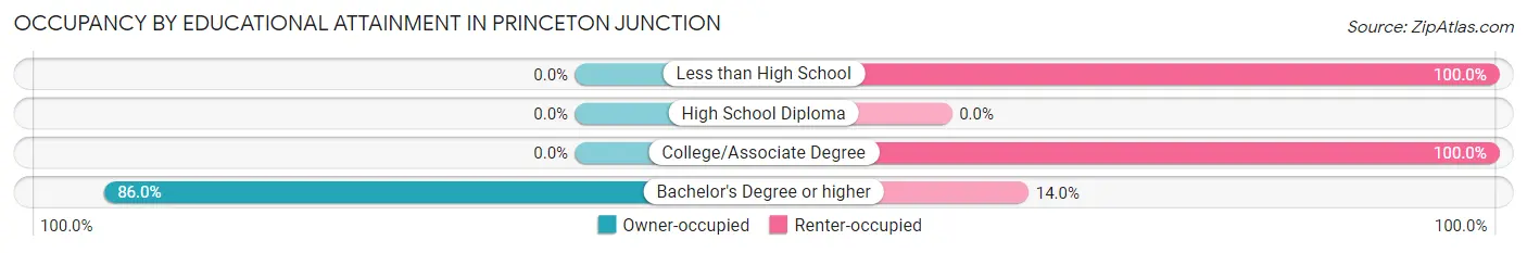 Occupancy by Educational Attainment in Princeton Junction