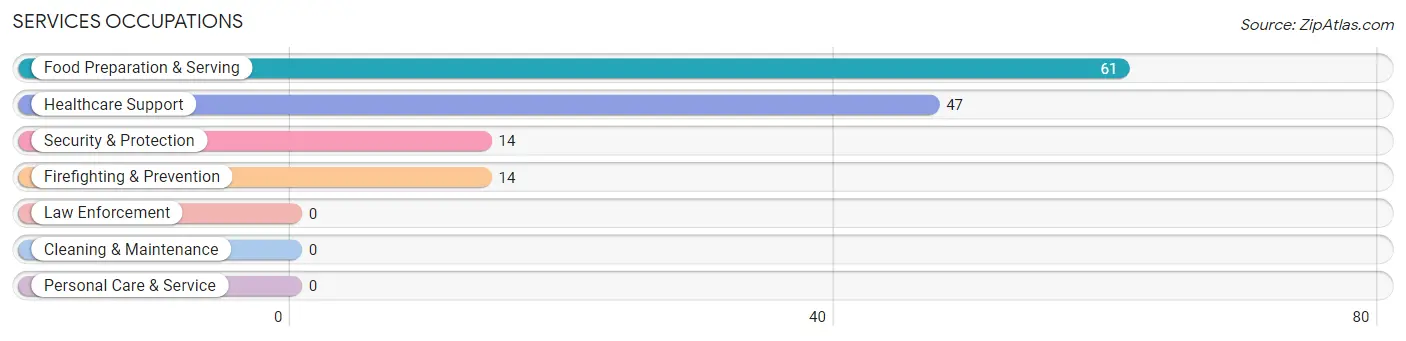 Services Occupations in Princeton Junction