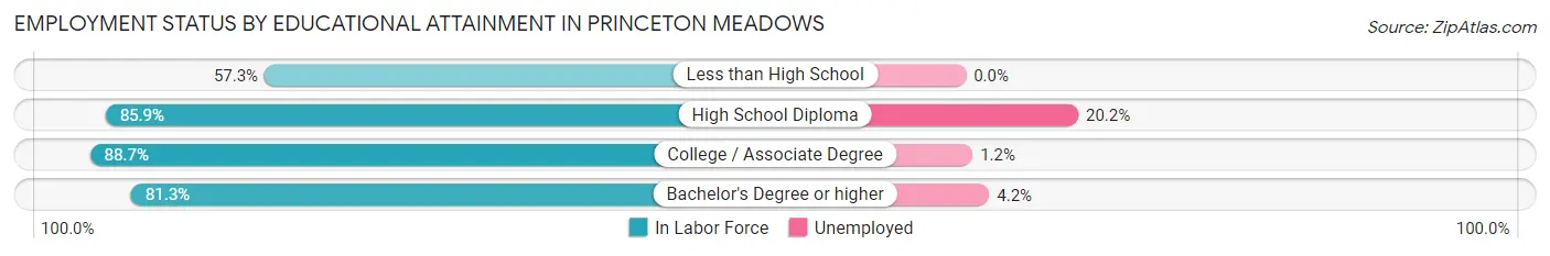 Employment Status by Educational Attainment in Princeton Meadows