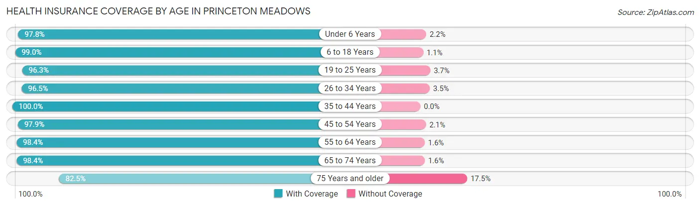 Health Insurance Coverage by Age in Princeton Meadows
