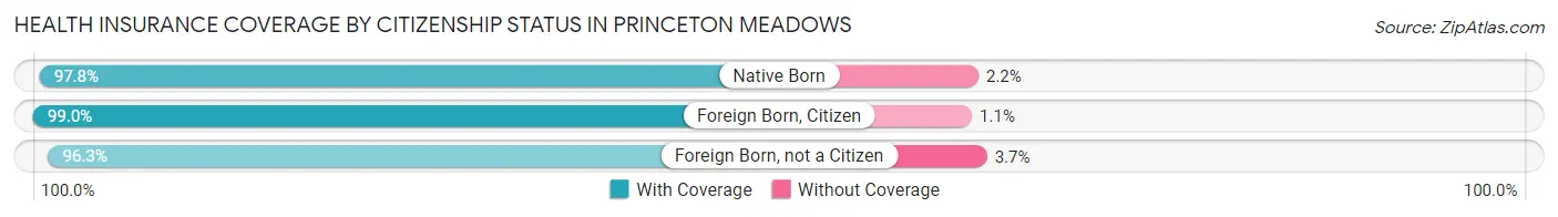 Health Insurance Coverage by Citizenship Status in Princeton Meadows