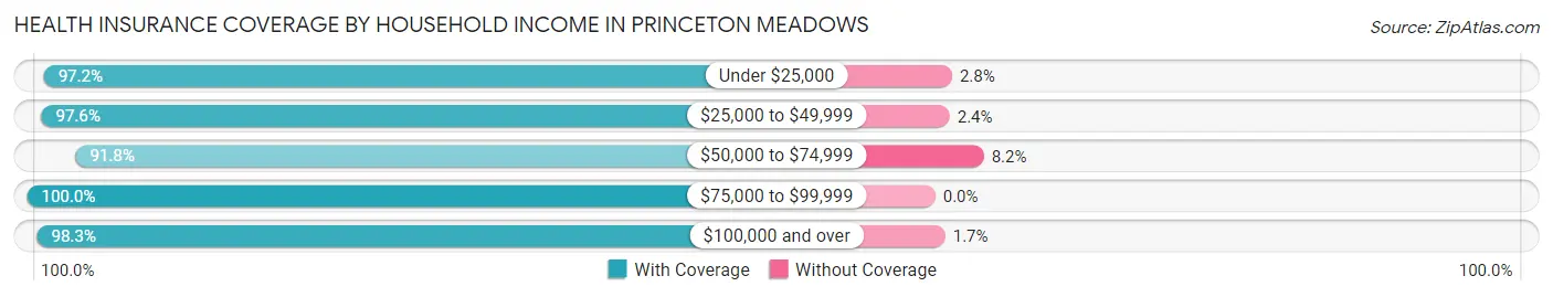 Health Insurance Coverage by Household Income in Princeton Meadows