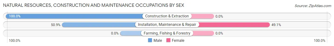 Natural Resources, Construction and Maintenance Occupations by Sex in Princeton Meadows