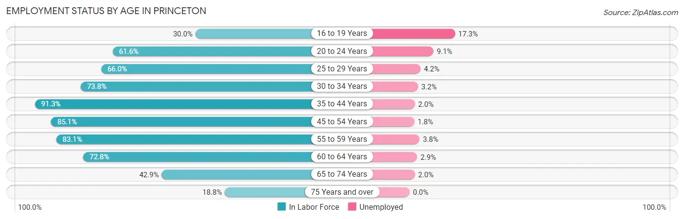 Employment Status by Age in Princeton