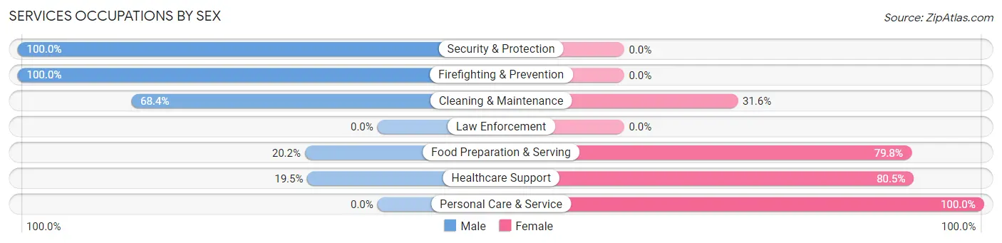 Services Occupations by Sex in Prospect Park borough