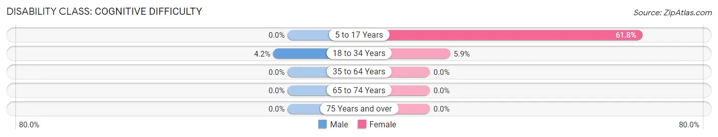 Disability in Ramapo College of New Jersey: <span>Cognitive Difficulty</span>