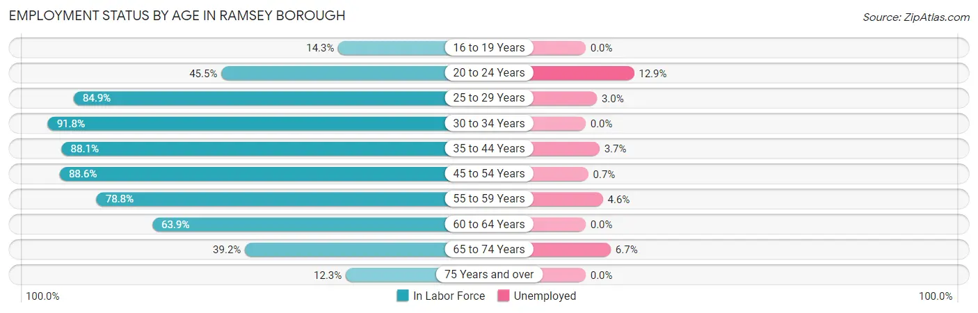 Employment Status by Age in Ramsey borough