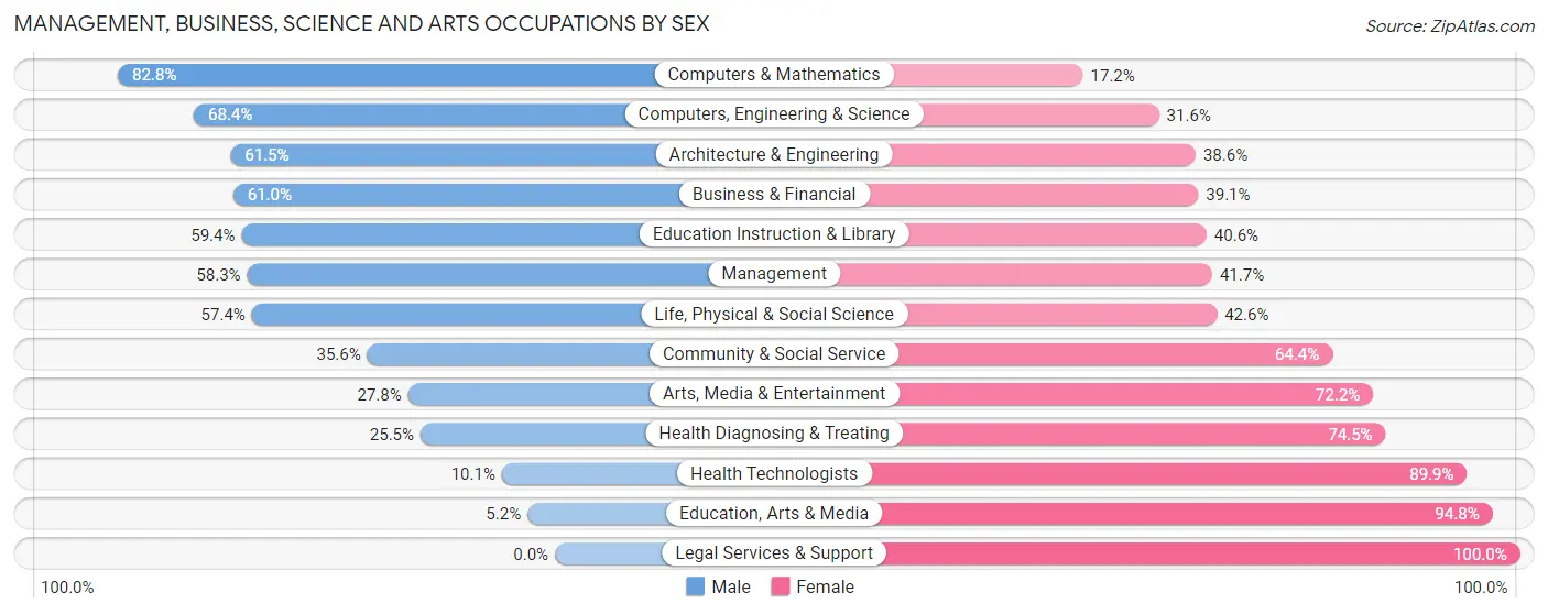 Management, Business, Science and Arts Occupations by Sex in Raritan borough