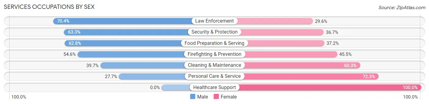 Services Occupations by Sex in Raritan borough