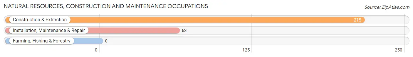 Natural Resources, Construction and Maintenance Occupations in Ridgefield borough