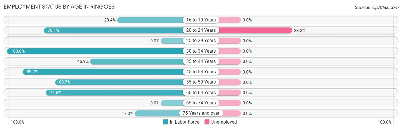 Employment Status by Age in Ringoes