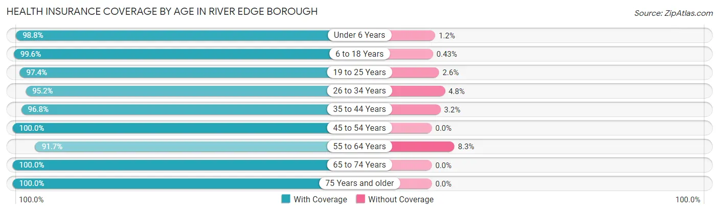 Health Insurance Coverage by Age in River Edge borough