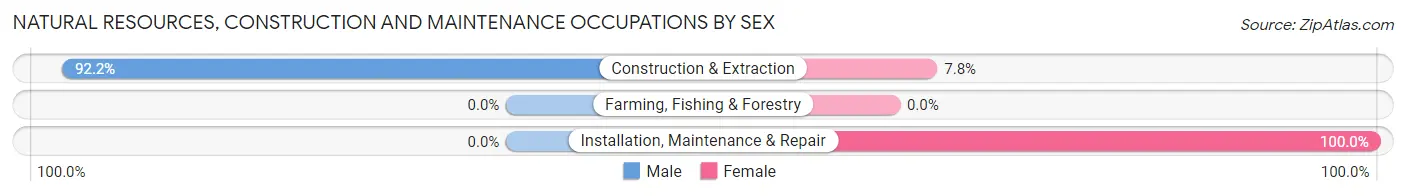 Natural Resources, Construction and Maintenance Occupations by Sex in Rockaway borough