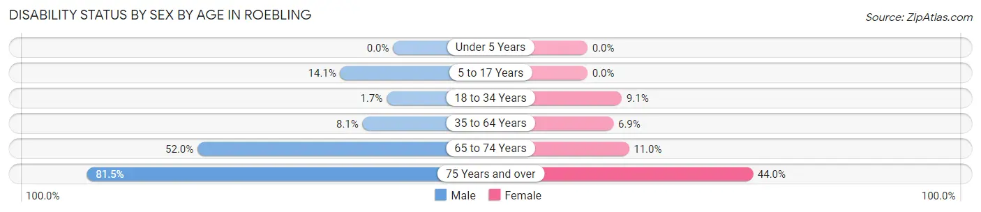 Disability Status by Sex by Age in Roebling