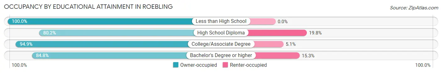 Occupancy by Educational Attainment in Roebling