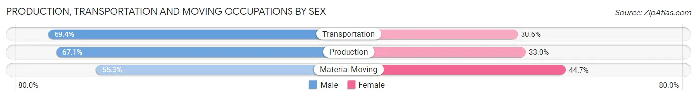 Production, Transportation and Moving Occupations by Sex in Roebling