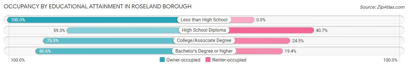 Occupancy by Educational Attainment in Roseland borough