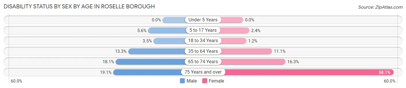 Disability Status by Sex by Age in Roselle borough