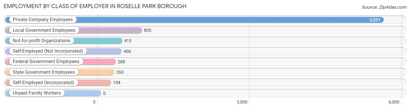 Employment by Class of Employer in Roselle Park borough