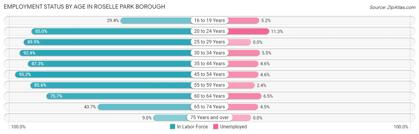Employment Status by Age in Roselle Park borough