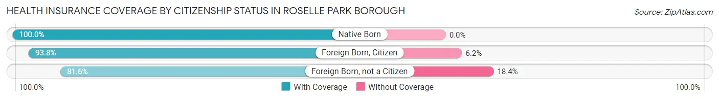 Health Insurance Coverage by Citizenship Status in Roselle Park borough