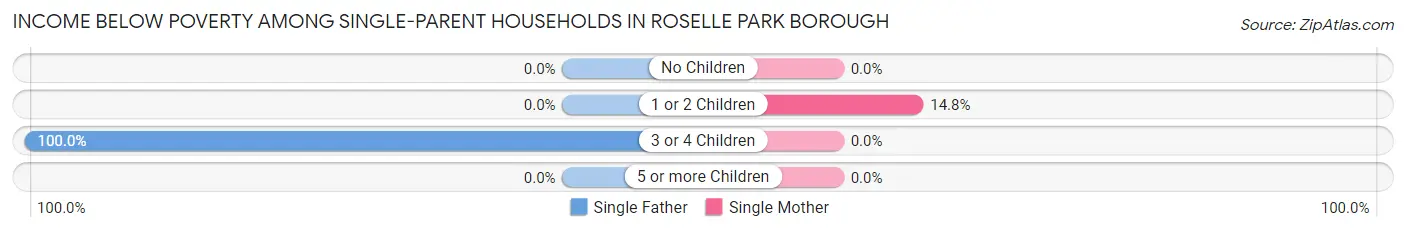 Income Below Poverty Among Single-Parent Households in Roselle Park borough