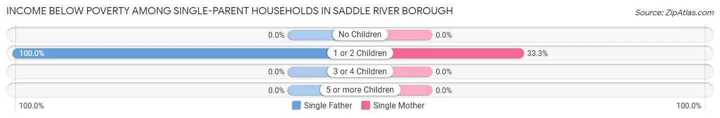 Income Below Poverty Among Single-Parent Households in Saddle River borough