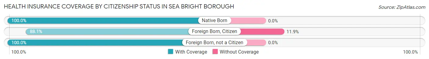 Health Insurance Coverage by Citizenship Status in Sea Bright borough