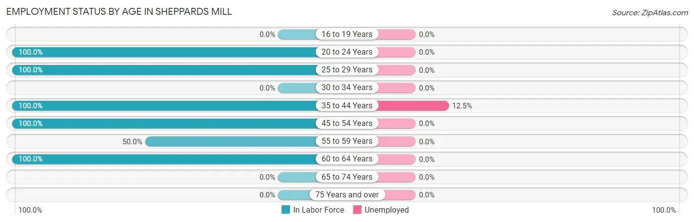 Employment Status by Age in Sheppards Mill
