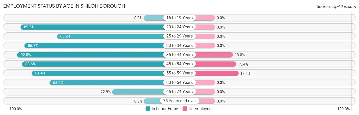 Employment Status by Age in Shiloh borough