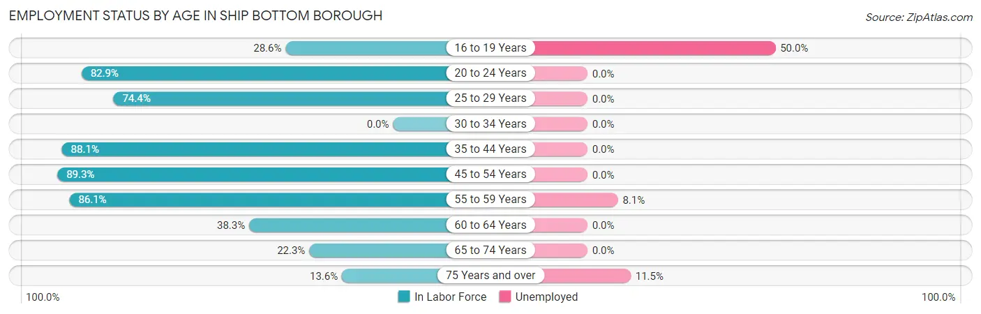 Employment Status by Age in Ship Bottom borough